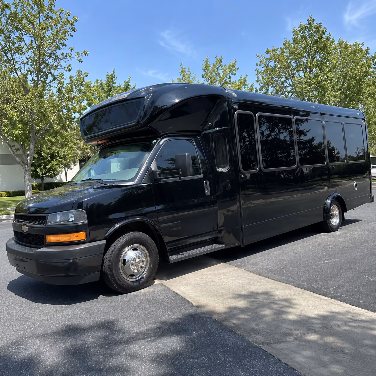 lake elsinore 15 passenger party bus