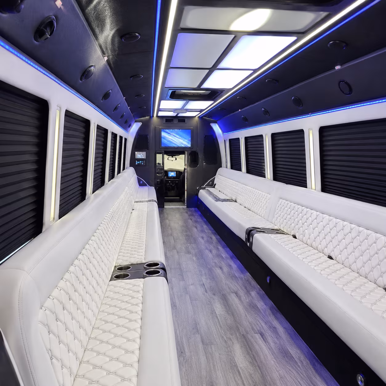 lake elsinore party bus rental interior