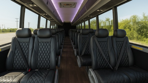 lake elsinore 15 passenger minibus rental